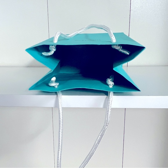 Tiffany & Co. Small Shopping Bag (single bag) - Picture 4 of 5